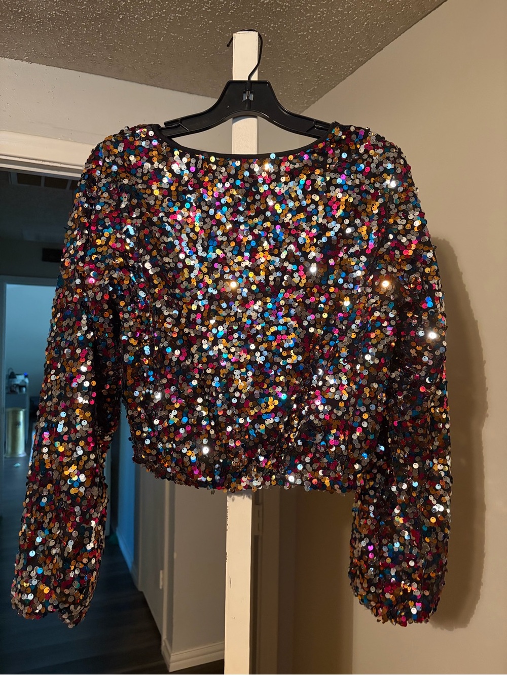 Amazon Multicolor Sequin Long Sleeve Crop Top